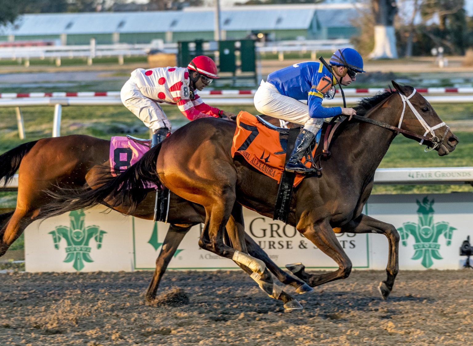 9 Fastest Horses in The World - jcsportsnews.com