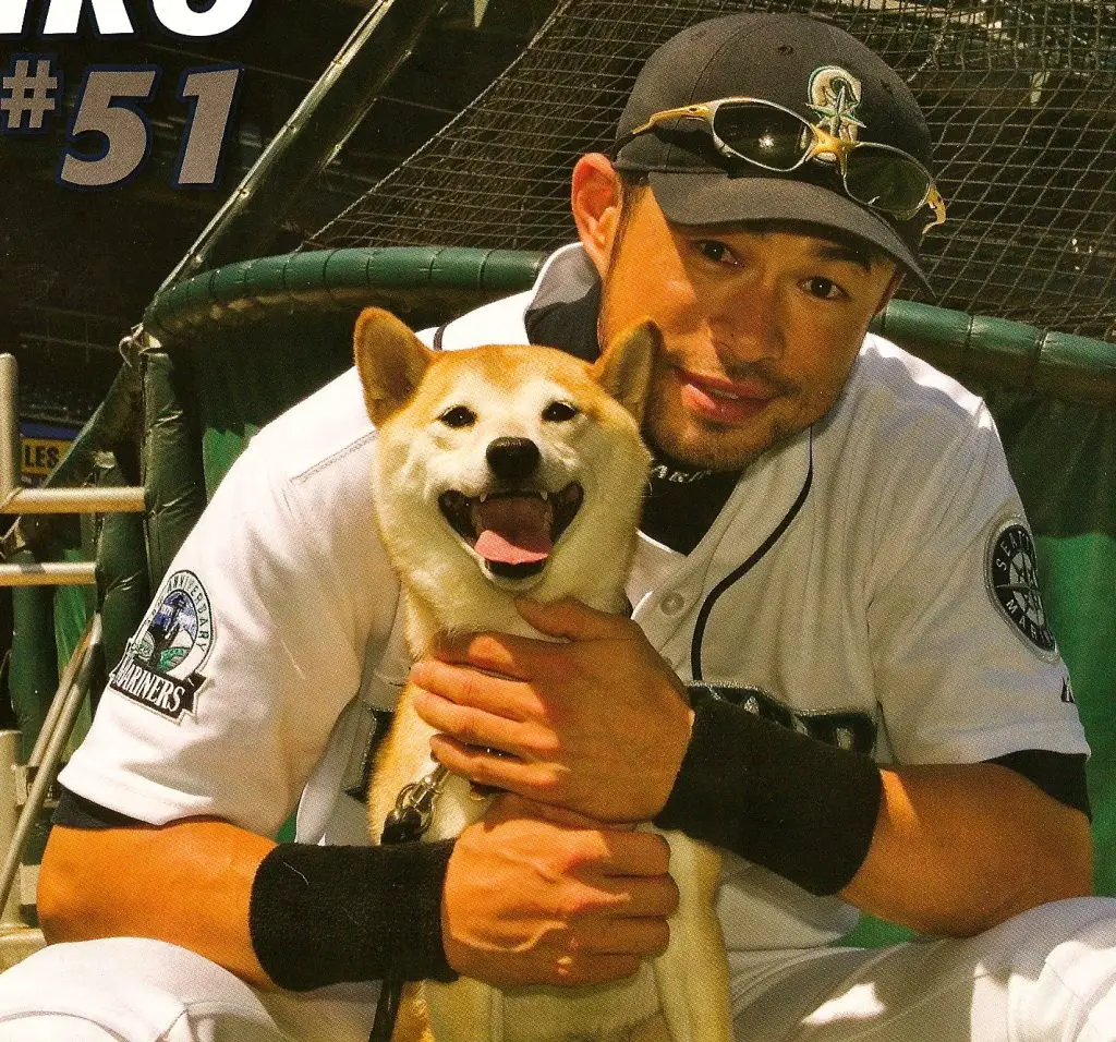 ichiro suzuki dog